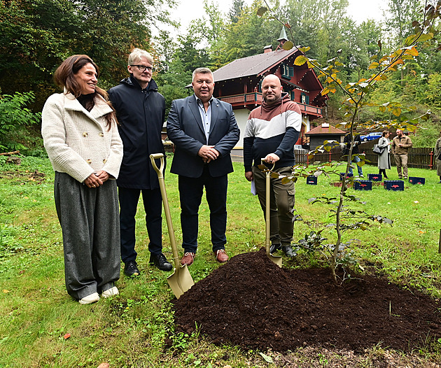 Odkaz zakladatele nápojové firmy a lázní Kyselka připomíná i pamětní strom
