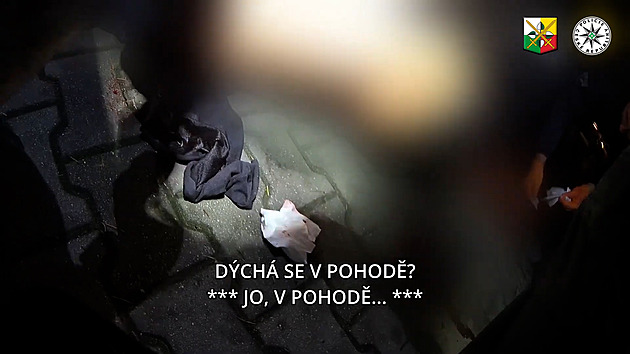 Při vloupání do auta v Plzni pobodal muže, policisté recidivistu vystopovali