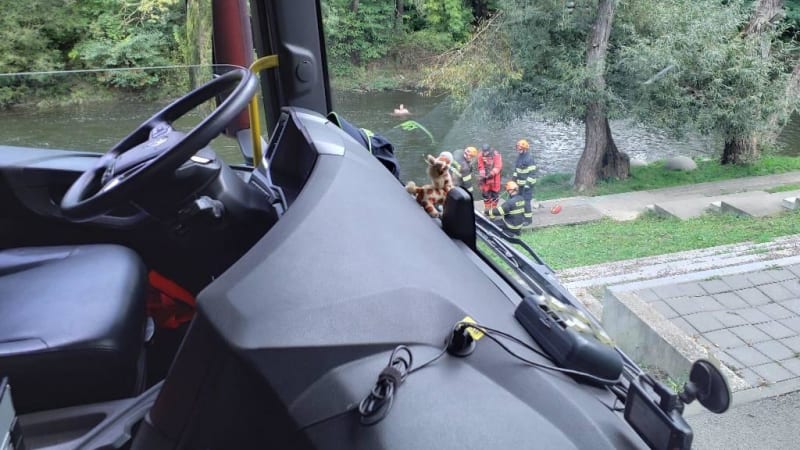 Bizarní záchrana v Brně: Žena se bránila vytažení z ledové řeky, po hasičích házela kameny