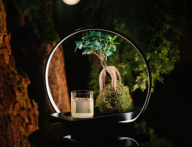 I malý stát může tvořit velké věci. Slovenský bar se vyšvihl mezi světovou elitu