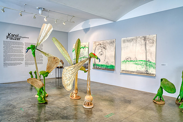 Síla přírody v křehkém materiálu. Pauzerova výstava Biosphaera na Kampě nabízí ojedinělý pohled