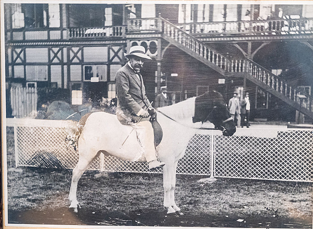 Designérka bojuje za záchranu hřebčína, připravila výstavu historických fotografií