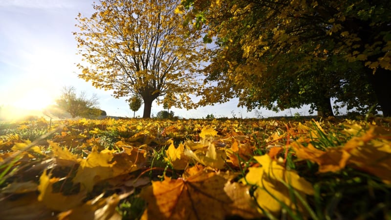 RADAR: V Česku vládne nejteplejší počasí za více než 40 let. Kdy se to změní? 
