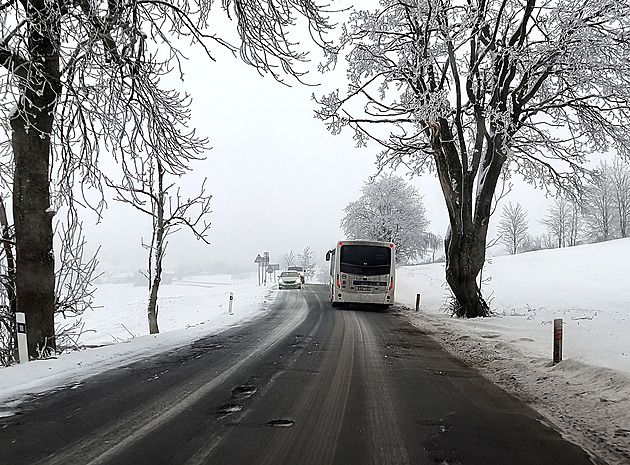 Širší silnice? Ne. Spolek hájí kulturní krajinu s alejemi, starostové zuří
