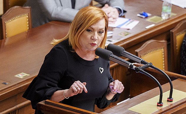 Poslanci rozhodnou o zastavení růstu sociálních odvodů u OSVČ