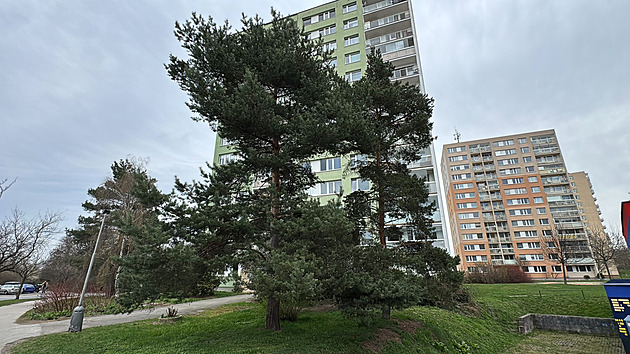 Soud rozhoduje o vazbě pro muže obviněného z vraždy dítěte