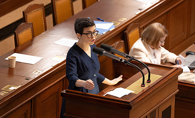 Richterová varuje před „vykostěním“ zákona a zpolitizováním státní správy