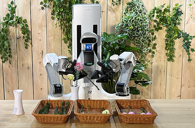 Roboti už nakukují i do domácností. Učí se uklízet i vázat kytice