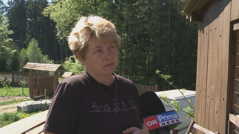 Hledá se fenka Greisí: Zoufalá majitelka nabízí tučnou odměnu. Kdo ji ukradl, není člověk, říká