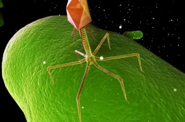 Nástup bakterií odolných proti antibiotikům je pomalá pandemie, říká přední expert